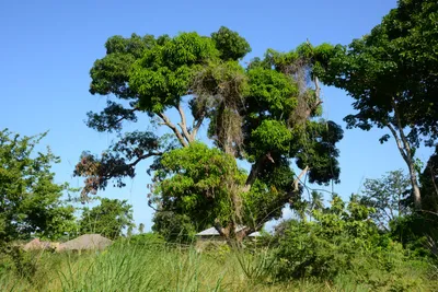 DSC_8320 (Large).JPG